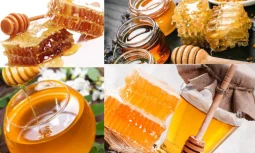 Turkish Honey Hangi Doğal Kaynaklardan Elde Edilir?